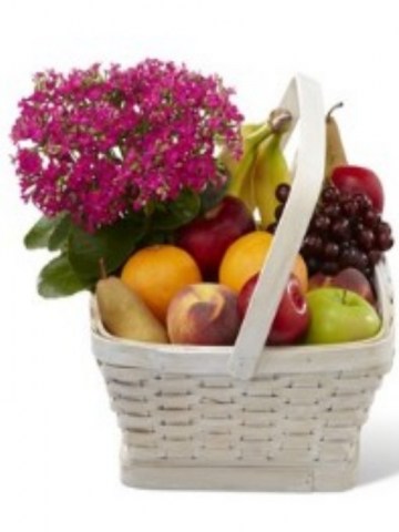 C30-4929 us 98 Garden Paradise Basket